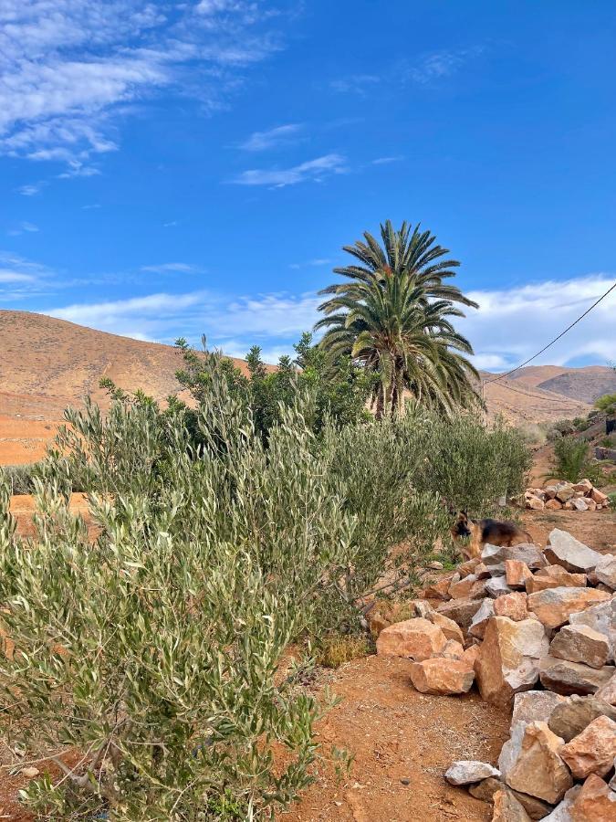 Appartamento La Casita del Mojino Betancuría Esterno foto
